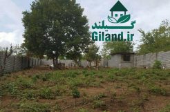 خرید زمین مسکونی جنگلی