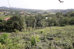 فروش زمین 1500 متری مسکونی اطاقور