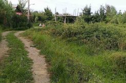 فروش زمین مسکونی 300 متری رانکوه املش