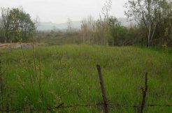 فروش زمین 1000 متری روستایی جنگلی اطاقور
